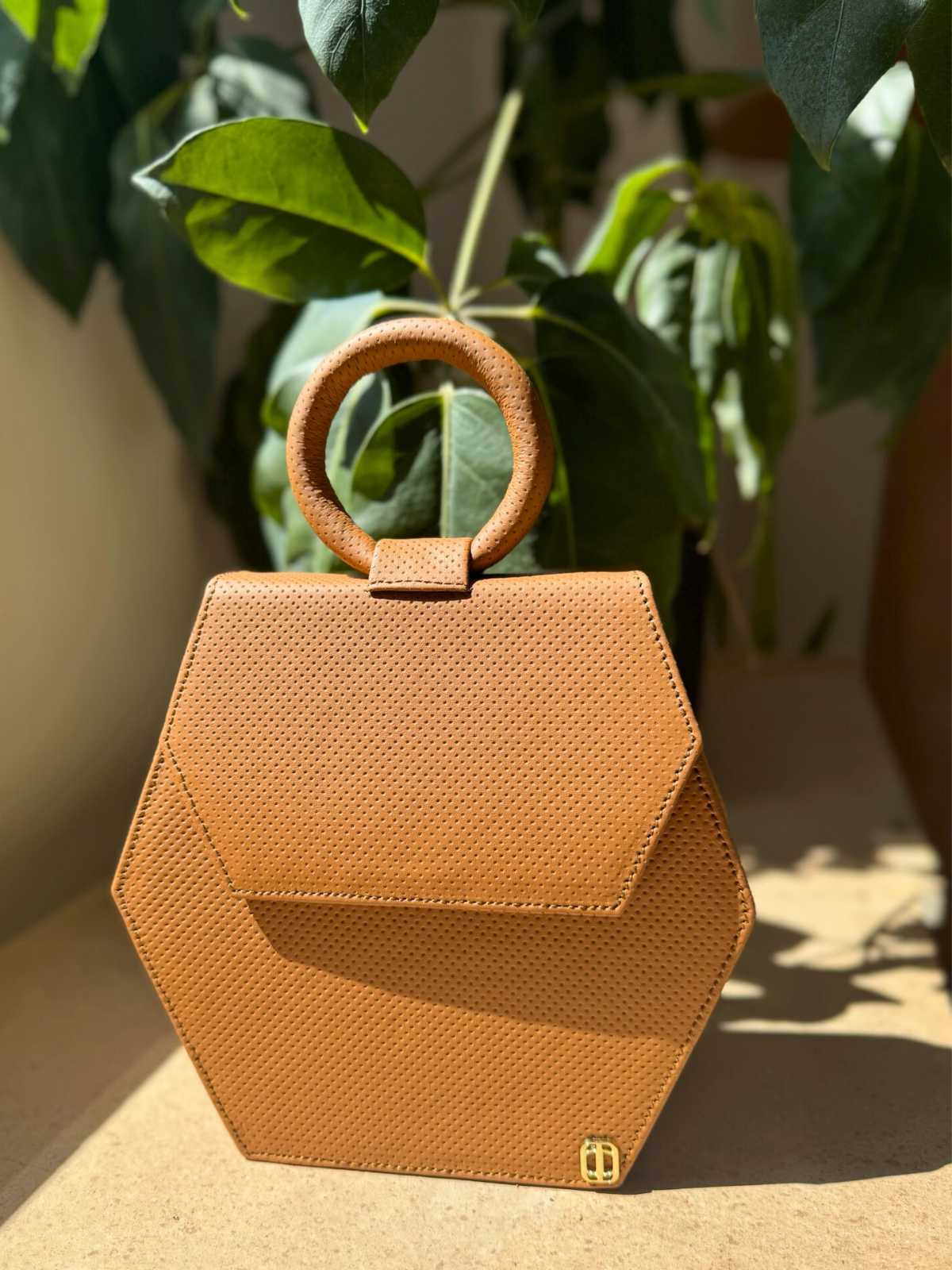 SHOP THE ZURI – Anima Iris