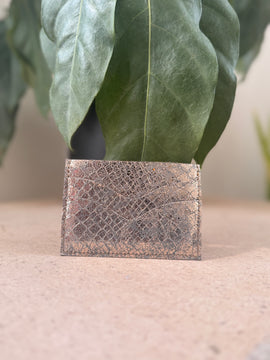 SHINY CARDHOLDER